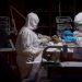 Śmiertelna epidemia nowego wirusa: pacjent umiera w ciągu 24 godzin