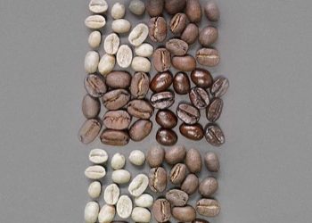 Symfonia kawy: 5 aromatów z nutą kawy dla prawdziwych smakoszy