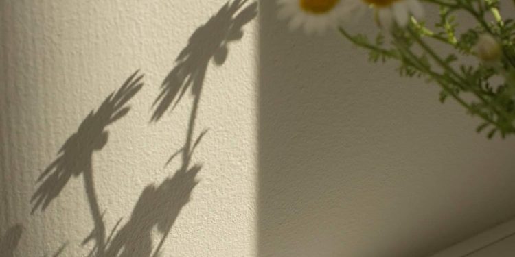 Szczęście w życiu: 31 afirmacji na każdy dzień