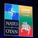 Chi poprosił Ukrainę o przystąpienie do NATO? Opublikowano aplikację na szczyt w Wilnie