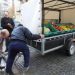 Jak to możliwe, że polskie warzywa i owoce można zbierać po cenach na Ukrainie: prognozy analityków