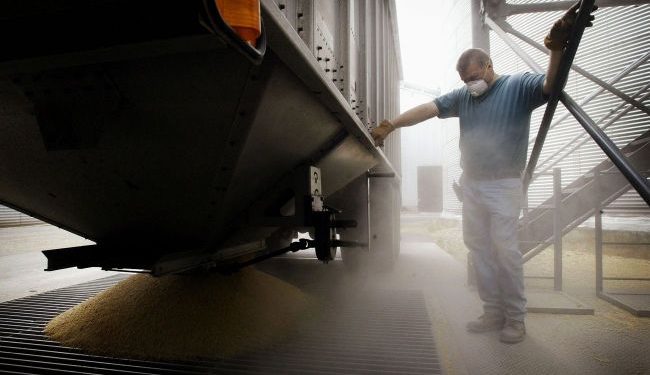 Rumunia sprawdza plan działań Ukrainy dotyczący kontroli eksportu zbóż