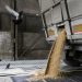 Egipt planuje zakup zboża z Kazachstanu, które zastąpi zboże rosyjskie, – Reuters