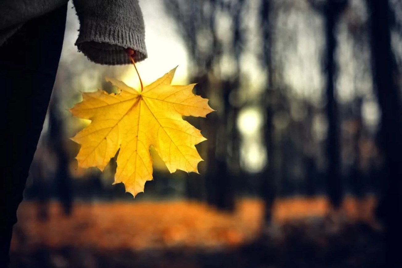 Lęk jesienny ma konkretne przyczyny: psychologowie sugerują, jak sobie z nim poradzić