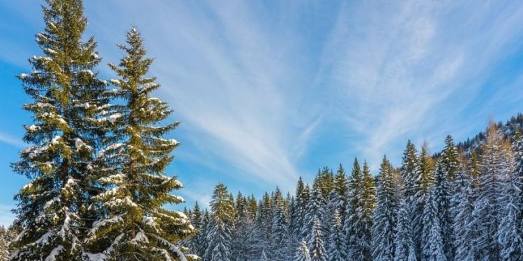 Indyjskie lato będzie krótkie na Ukrainie: kiedy można spodziewać się niższych temperatur i śniegu