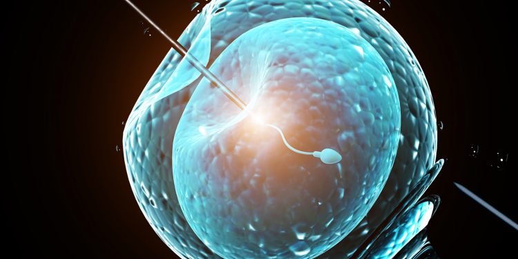 Dlaczego warto skorzystać z metody IVF?