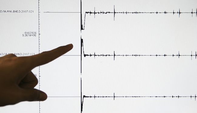 Znaleziono na Zakarpaciu i pod Lwowem. Słowacja stała się ziemiastym trupem