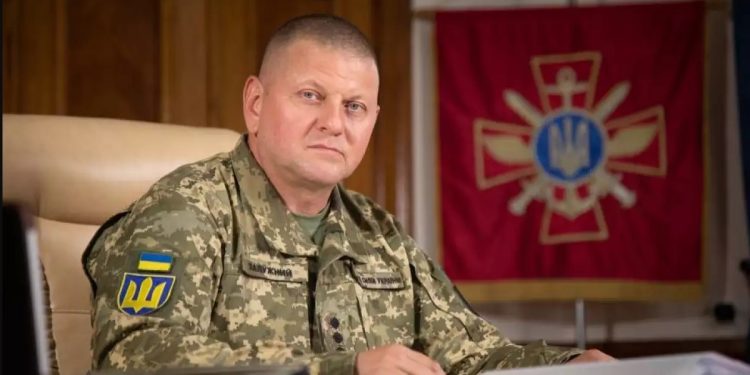 W biurze Załużnego znaleziono niespodziewane rzeczy: media dowiedziały się, co miał Naczelny Wódz