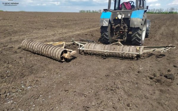 Szmigal: W zeszłym roku na Ukrainie wykarczowano ponad 200 tysięcy hektarów gruntów rolnych