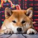 CoinGecko uznało najbardziej dochodowe kryptowaluty 2023 roku