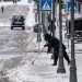Jest ciepło, ale nie bez zimowych „niespodzianek”. Synoptycy podali prognozę na jutro na Ukrainie