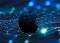 Zespół Rabbi Wallet ostrzegł przed fałszywą aplikacją portfela w App Store
