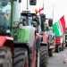 Węgierscy rolnicy zapowiedzieli protest na granicy z Ukrainą