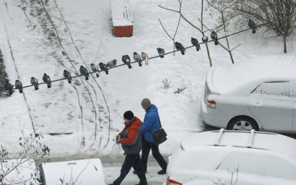 Styczeń w Kijowie był cieplejszy niż norma klimatyczna