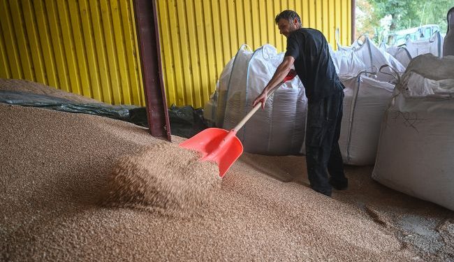 Komisja Europejska proponuje podwyższenie podatków na import zbóż z Federacji Rosyjskiej i Białorusi