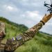 Wielka Brytania sfinansuje 10 000 dronów dla Ukrainy: co dokładnie otrzymają Ukraińskie Siły Zbrojne?