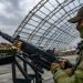 Ukraina stała się największym europejskim importerem drobiu – raport SIPRI