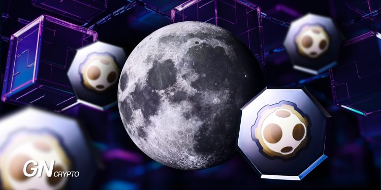 Jak kupić/sprzedać tokeny MOON
