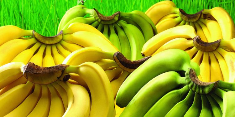 Jak zachować świeżość bananów do 6 dni: prosta metoda o nazwie