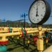 Istnieje potrzeba stworzenia lokalnego rynku gazu na Ukrainie, – Ukraińska Giełda Energii