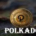 Liczba aktywnych adresów Polkadot przekroczyła 600 000