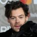 Poza pasją: fan Harry'ego Stylesa skazany na więzienie