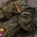 Brytyjski wywiad wskazał na czynniki, w wyniku których armia Putina ponosi ogromne straty kadrowe