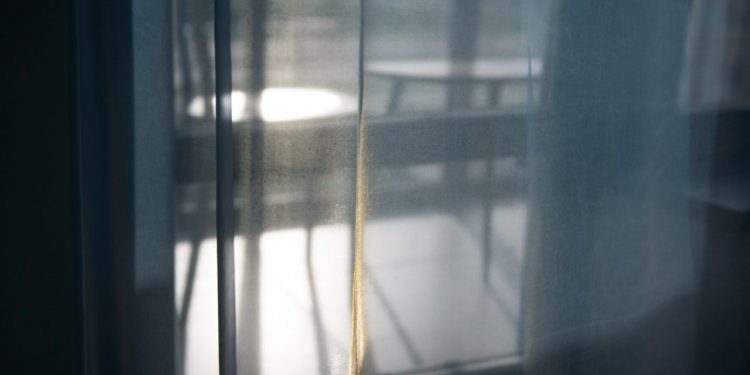 Czy śpisz przy otwartym oknie? Jak zapobiec przedostawaniu się owadów do domu latem