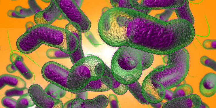 Na Ukrainie rozpoczął się sezon epidemii cholery: jak niebezpieczna jest ta choroba i jak się chronić