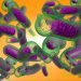 Na Ukrainie rozpoczął się sezon epidemii cholery: jak niebezpieczna jest ta choroba i jak się chronić