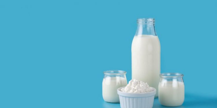 Oś: jak przechowywać kefir przez długi czas po peklowaniu