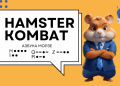 Alfabet Morse'a w Hamster Kombat: jak wejść, aby zdobyć 1 milion monet