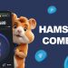 Nowy alfabet Morse’a pojawi się w Hamster Kombat 30 czerwca