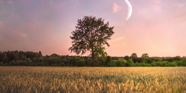 Młody człowiek 6 czerwca 2024 r.: dla którego znaki zodiaku będą najszczęśliwsze