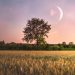 Młody człowiek 6 czerwca 2024 r.: dla którego znaki zodiaku będą najszczęśliwsze