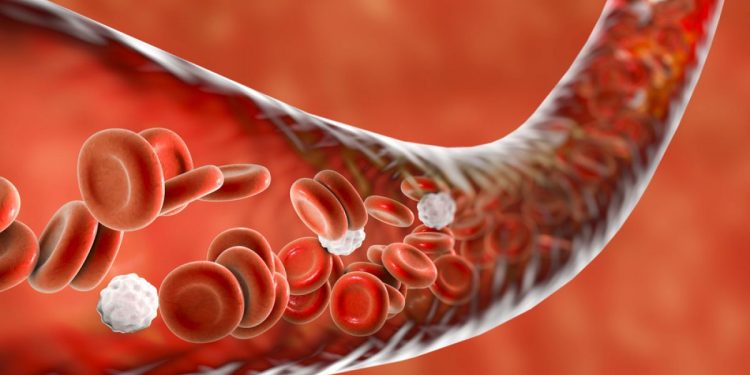 Produkt cholesterolowy: lekarze mówili, co dodać do swojej diety