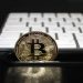 CKPool: Solo Miner otrzymał nagrodę za wydobycie bloku Bitcoin w wysokości 3,27 BTC