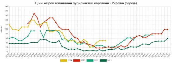 Analitycy wyjaśnili gwałtowny wzrost cen ogórków na Ukrainie