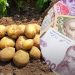 Ziemniaki szybko drożeją na Ukrainie: do jakich cen doprowadził ten pośpiech?