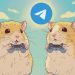 4 września w Hamster Kombat nowe karty combo: 5 milionów tokenów dla najbardziej aktywnych