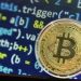 Kiedy kryptowaluta zostanie zalegalizowana na Ukrainie: Rada ogłosiła terminy