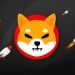 Shiba Inu: W 2025 roku kryptowaluta SHIB wejdzie w supercykl