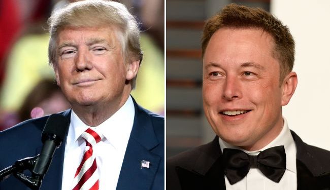W jednym z tych stanów Musk mógł zapłacić walczącym wyborcom milion