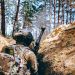 Siły Zbrojne Ukrainy odparły atak w kierunku Torecka i pojmały obywatela Egiptu (WIDEO)