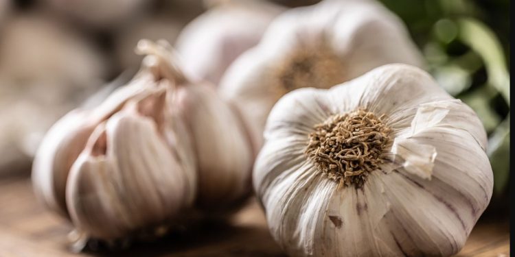 Jak oczyścić naczynia krwionośne i pozbyć się cholesterolu za pomocą czosnku: przepis od lekarzy