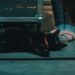 Imagine Dragons stworzyło ścieżkę dźwiękową do antologii filmowej „Wojna oczami zwierząt”