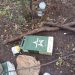 Siły obronne zabijały kolejnych 1730 Rosjan dziennie