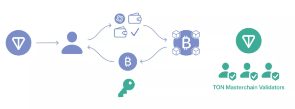 Stablecoin kapitalizacja osiągnęła rekordowy poziom, napływ kapitału na rynek spot BTC-ETF zaktualizowało maksimum: co nowego” /></p>
</p>
<p>Twórcy zauważyli potencjał wykorzystania Bitcoina w segmencie DeFi na TON w celu generowania dochodu i rozszerzenia masowego przyjęcia pierwszej kryptowaluty. Na przykład tokeny tgBTC mogą:</p>
<ul>działać jako zabezpieczenie pożyczania monet typu stablecoin, wspierając pule płynności i dźwignię finansową w protokołach kredytowych; utrzymywanie zabezpieczonych pozycji dłużnych w modelu DAI MakerDAO; używany do płacenia za usługi wydobywcze, takie jak GoMining. </ul>
<p>Do końca roku TON Teleport BTC będzie działać w trybie sieci testowej. Przejście na sieć główną zaplanowano na drugi kwartał 2025 roku. Architektura mostu pozwala w przyszłości na dodanie obsługi innych blockchainów poza Bitcoinem.</p>
<h3>Wybieraj korzystne stawki i niezawodne usługi wymiany kryptowalut z Ministerstwem Finansów</h3>
<ul class=