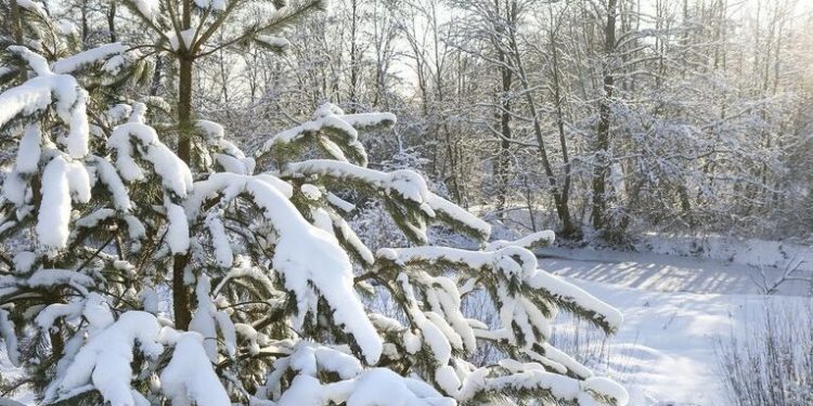 Jaka będzie pogoda na Ukrainie 27 stycznia: prognoza na początek tygodnia