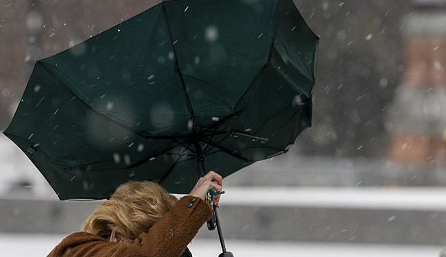 Żółty rabarbar nie jest bezpieczny. Jutro w Kijowie i niższych regionach wiać będzie silny wiatr